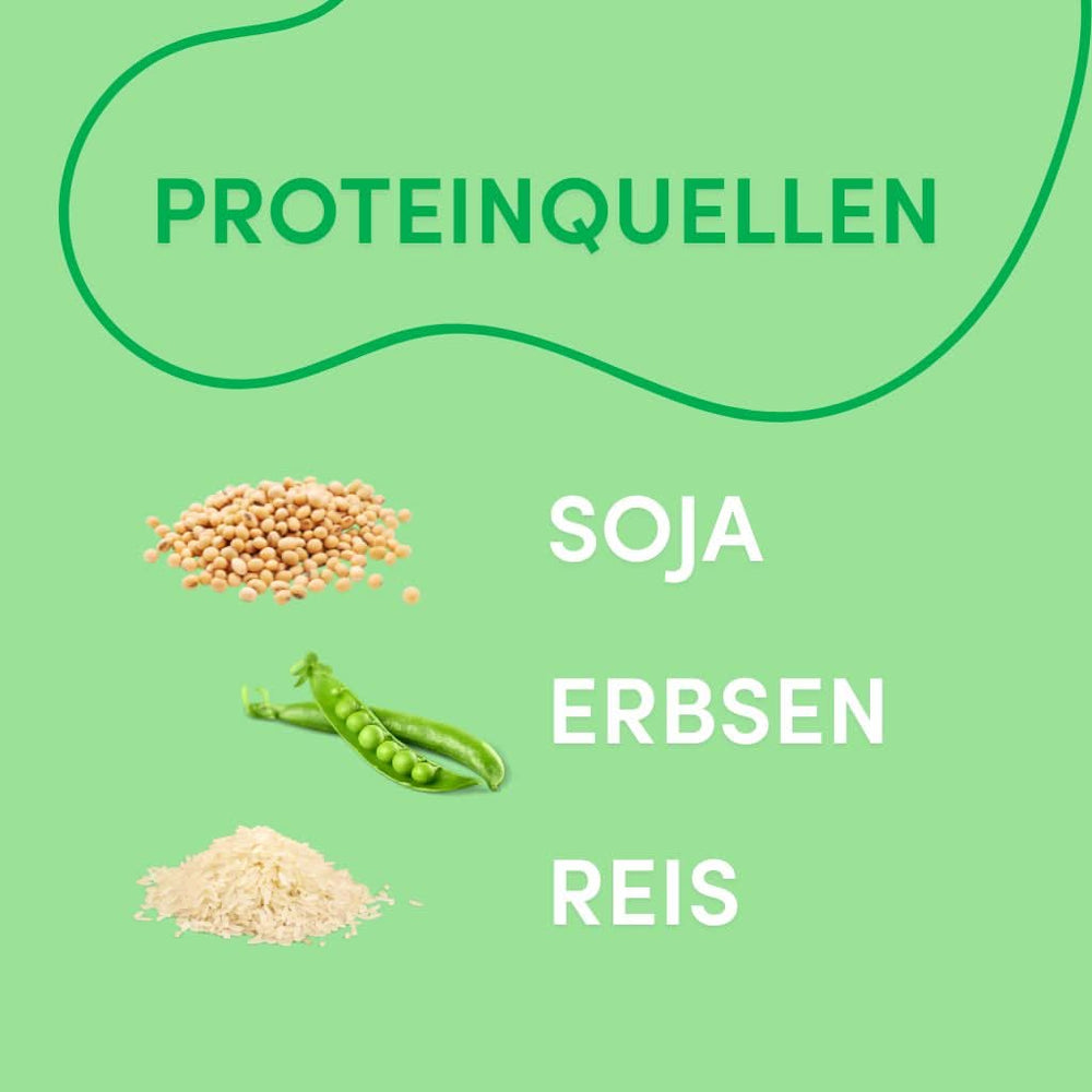 Vegan Schoko Proteinpulver (420g) | Erbsen-, Reis- und Sojaprotein