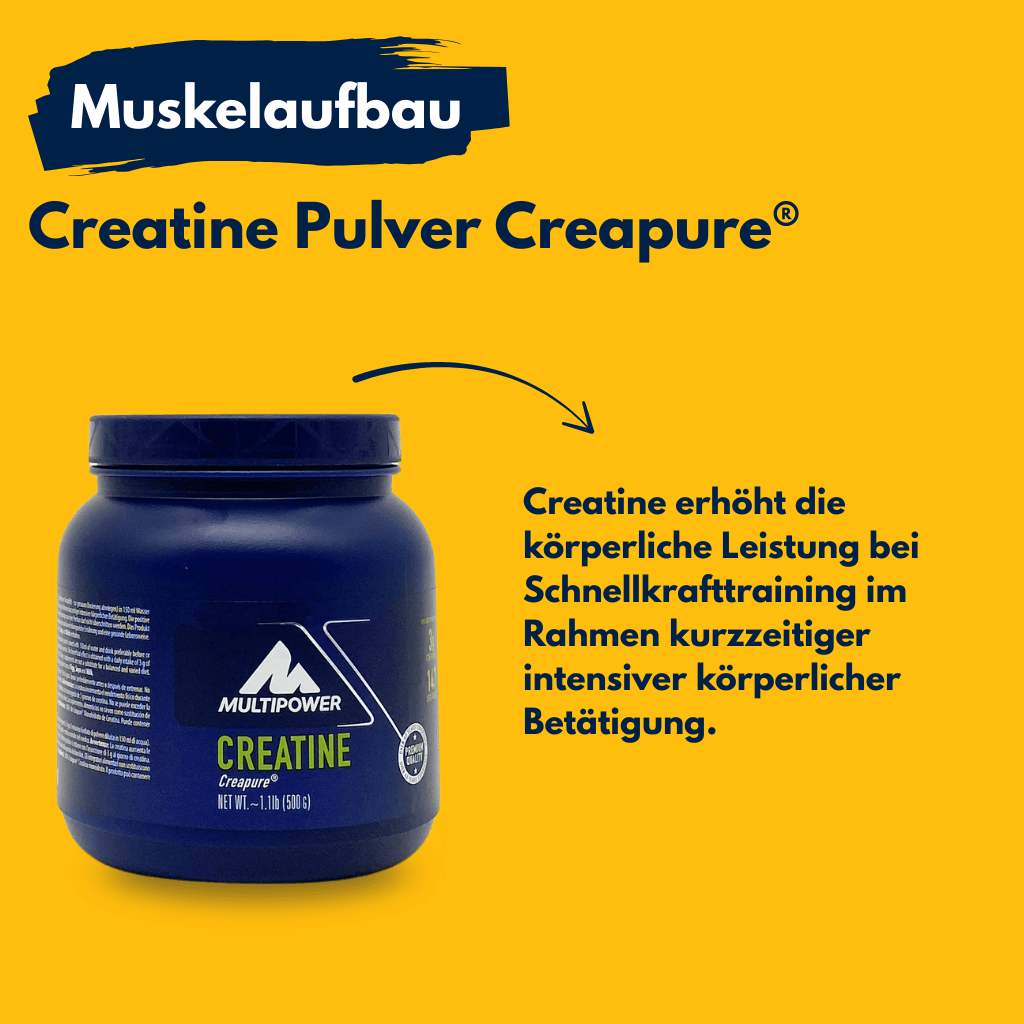 Muskelaufbau Vanille-Protein-Set Edition No. 1 + Creatine inkl. Handtuch und Shaker